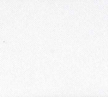75N 301